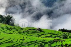 Bán mảnh đất có sổ hồng view săn mây ruộng bậc thang đẹp nhất y tý sapa 2