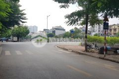 Mặt phố thượng đình, thanh xuân, 216m2, giá 39.5 tỷ, mt 7m, 2 tầng, kinh doanh sầm uất.