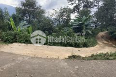 Bán mảnh đất thôn phan cán xử, view săn mây