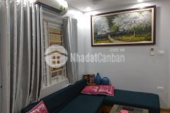 Bán nhà phố nguyễn trường tộ, 5 tầng ở luôn, cách phố 10m, lô góc 3 thoáng giá 5.6 tỷ