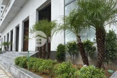 Quỹ căn cuối cùng noxh ecohome nhơn bình 2pn 3pn, hỗ trợ 0 lãi 18 đến 36 tháng liên hệ hỗ trợ hồ sơ