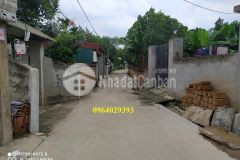 Sốc chỉ còn cái nịt ra đi lô đất 2 mặt tiền tại hòa lạc gần đường 420 chỉ 590 triệu