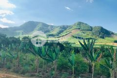 Bán đất view hồ của gia đình có quy hoạch lên đất thương mại dịch vụ lh 0788.558.552