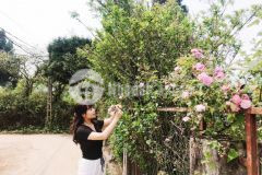 Lô đất khu du lịch nghỉ dưỡng sapa cắt lỗ sâu trong mùa covid