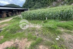 Bán lô đất trung tâm thị trấn nông trường mộc châu thích hợp kinh doanh du lịch