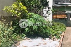 Đất đẹp lôgóc ngõ thông ôtô50 m2 chỉ 2.45 tỷ ngọc thụy long biên.