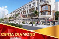 Bán nhanh căn shophouse trục đường thông, vị trí đẹp, hàng hiếm.