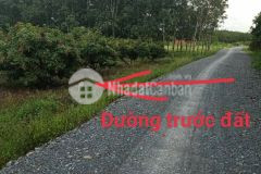 Đất rẻ mùa covid 10x100 gò dầu tây ninh chỉ 486 triệu