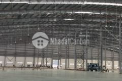 Cần cho thuê kho xưởng mt tl10, đức hoà hạ, long an. tdt 2,5ha giá 750trth