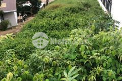 D1033 cần bán gấp lô đất mặt tiền trịnh hoài đức phường 11 thành phố đà lạt.