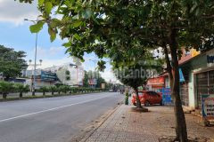 Mặt tiền quốc lộ 1a, kinh doanh buôn bán sầm uất