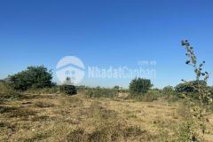 Bán 9500m2 đâts trồng cây, có đường