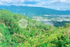 Ban gâp lô đât tram hanh đa lat.dt 500m2,gia chi 930 triêu