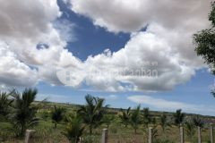 Đầu tư đất vườn ven biển bình thuận giá cực rẻ chỉ từ 500 triệu nền, sổ đỏ riêng biệt.