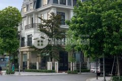 Biệt thự lô góc đỗ quang mặt tiền miên man,vỉa hè, vị trí siêu vip,khu vực nhiều tòa vp