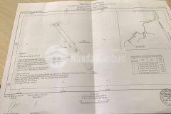 Chính chủ cần bán gấp vĩnh tân giá rẻ, rẻ nhất khu vực, cạnh trường lái vĩnh tân, bình dương.