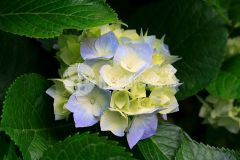 Bán đất tây giang, tiền hải dt 100m2 giá 2 tỷ đường 12m hỗ trợ vay vốn 60