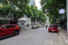 Bán nhà mặt phố phan kế bính kéo dài 42m mặt tiền 4.2m giá 11 tỷ