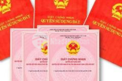 Bán nhà 4tầng 76m2 nhà 2 mặt phố trước sau vị trí hiếm phố thụy khuê, tây hồ.giá 19.5 tỷ