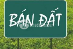 Bán 02 lô đất bắc từ liêmxuân đỉnh, ô tô, kinh doanh, 32m2, 3.25 tỷ