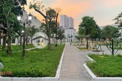 Biệt thự đại mỗ. công viên, vỉa hè, ô tô, thang máy, kd. 250m2 mt10m 5 tầng 32 tỷ