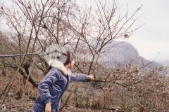 Chỉ 2xx triệu đầu tư y tý sapa đón đầu song quy hoạch sân bay quốc tế lào cai