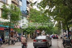 Phố pháo đài láng 50m x 5t, mt 4.5m vỉa hè, kinh doanh sầm uất nhỉnh 10 tỷ