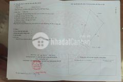 Đất rẻ 1000m2 tại đồng tâm, đồng phú, bình phước