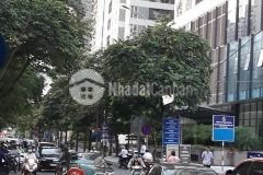 Bán gấp nhà mặt phố nguyễn tuân thanh xuân 40m x 6t mt 3.6 giá 10.8 tỷ 0369987399