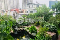 Biệt thự xa la hà đông 160m2 x 5 tầng mặt tiền 8m giá chỉ 19.5 tỷ