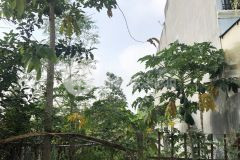 Kẹt covid bán đất đường 12, long bình, quận 9, dtsd 114m245trm2