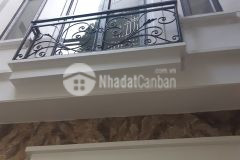 Siêu phẩm nhà mới 5 tầng phố chính kinh mặt tiền rộng ngõ xe ba gác đua nhau giá gần 4 tỷ.