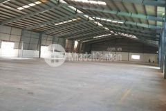 Cho thuê kho xưởng kcn hải sơn, đức hoà hạ, long an. dt 1200m2. gía 70km2