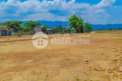 Thanh lý đất điện bàn 310tr sở hữu hỗ trợ vay