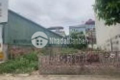 Hot hot vị trí đỉnh cao thạch bàn long biên 80m2 đất ô tô lô góc mt 5.5m nhỉnh 4 tỷ