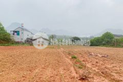 Siêu phẩm mộc châu 3991m2 giá covid cho các nhà đâu tư sinh lời.