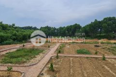 Chính chủ cần bán mảnh đất 7500m2 tại samsung thái nguyên 4,5 triệum2