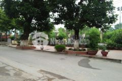 Bán gấp lô đất ô tô đỗ cửa, cách ô tô tránh 20m, xuân đỉnh, bắc từ liêm 71m2 giá rẻ.