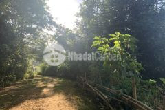 Mảnh đất 3.300m2 ngắm tuyết siêu đẹp tại sapa giá đẹp để đầu tư