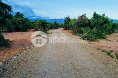 Bán đất vườn bình thuận vuông vức 5000m2 công chứng sang tên đứng sổ ngay