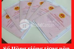 Khu dân cư mới view sông cực đẹp chỉ 1 tỷ 2 ngay tp biên hòa full thổ cư