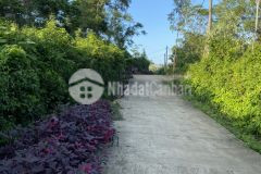 Cần bán lô đất diện tích 1451 m2 gần đường hồ chí minh tại cam thành, cam lộ