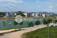 Hoàng ngân giá rẻ mát mẻ vườn sân ao gần chạy khỏe sức trẻ vươn ra. bán nhà giá tốt