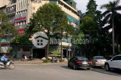 Tòa nhà văn phòng đô thị cầu giấy 165m x 9 tầng thang máy vị trí siêu đẹp