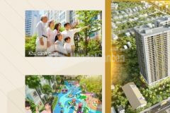 Legacy central an cư hoặc đầu tư 1 sản phẩm 2 lợi ích