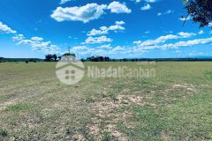 Bán 12,353m2 mặt tiền đường 90m, kết nối liên huyện ra sân bay phan thiết giá chỉ 115,000m2