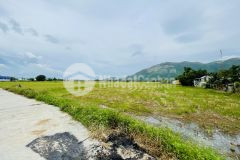 Bán đất diên toàn diên khánh, view cánh đồng bao đẹp, giá đầu tư