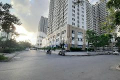 Bán đất biệt thự kđt tân tây đô 231m2 10.2 tỷ