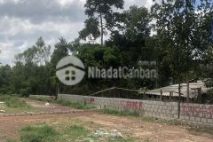 Bán lô đất 2 mặt tiền kiệt ô tô lê ngô cát