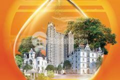 Giai đoạn vàng đầu tư biệt thự shophouse vimefulland đông anh